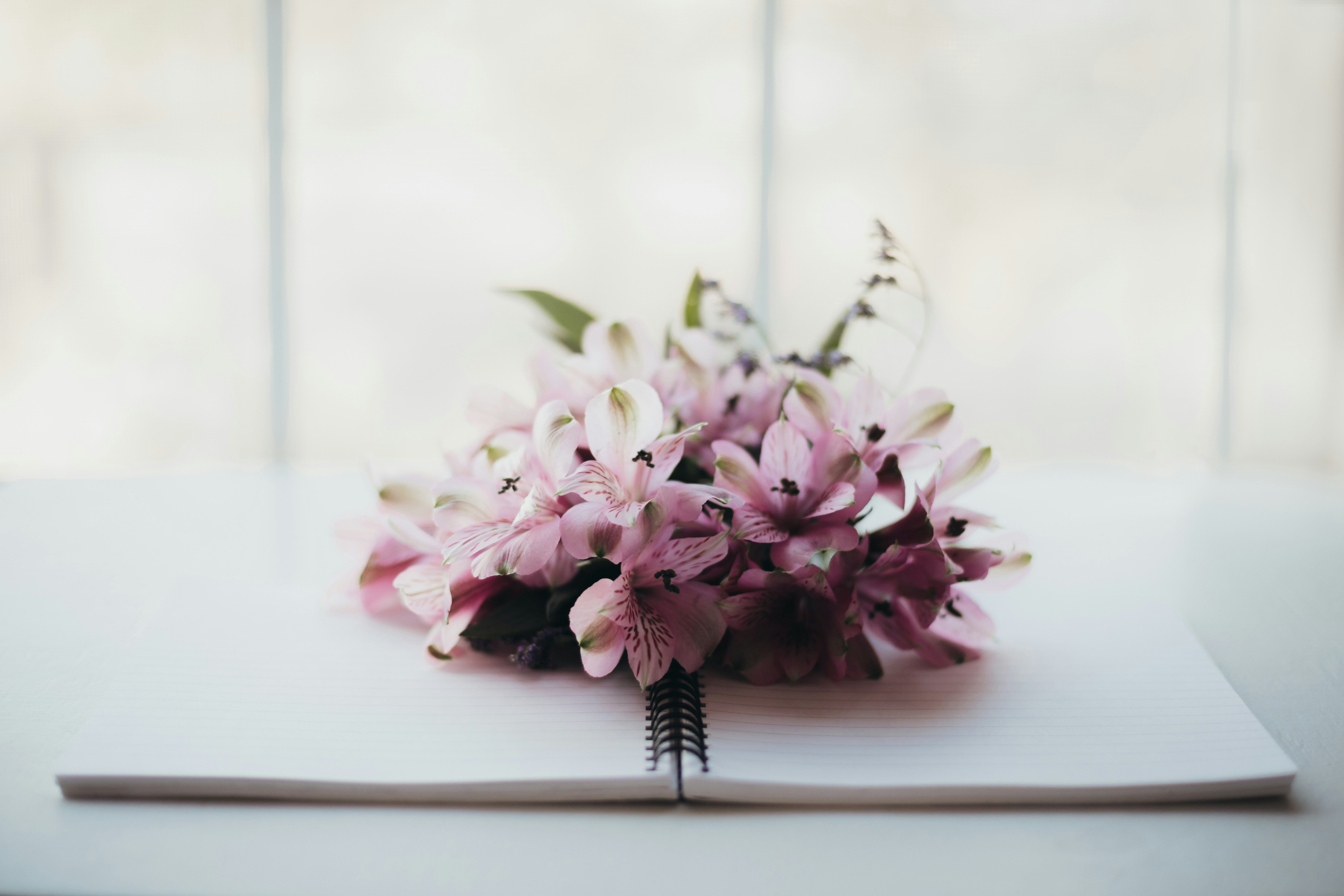 journal with pink flowers on it | financial therapysolutions.com